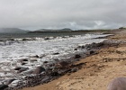 Waterville (4)